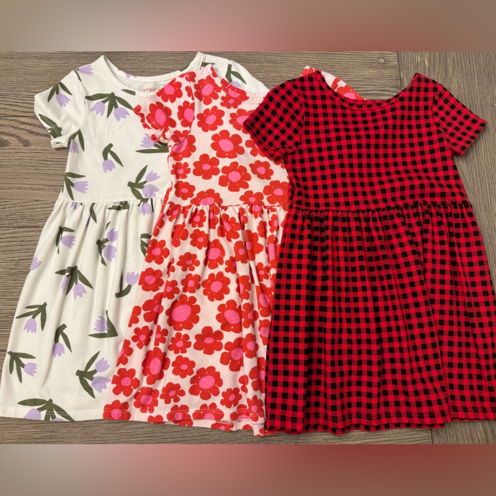 Girls Dresses (3)